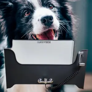 Buddybox