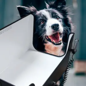 Buddybox