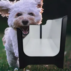 Buddybox