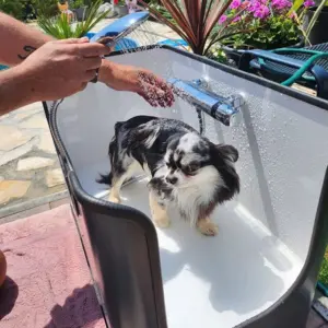 Buddybox