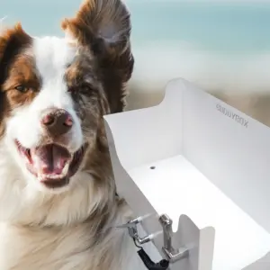 Buddybox